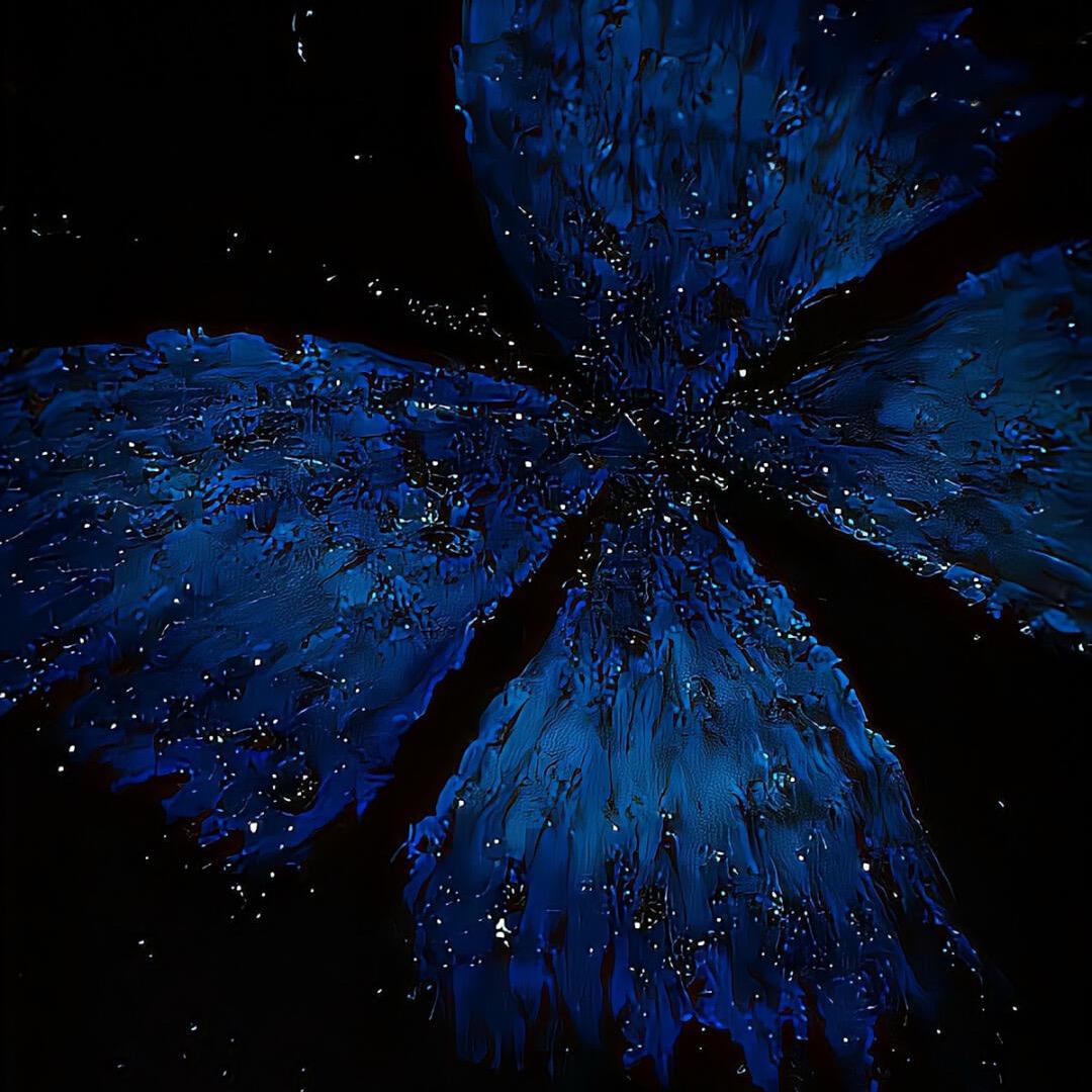 🦋🦋