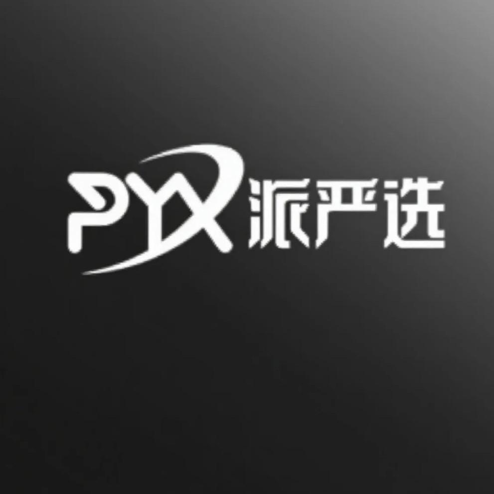 派严选.真探团