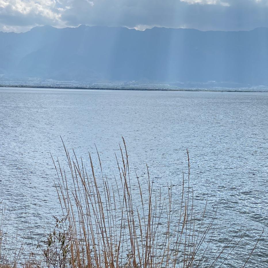 室内外涂料装修阿涛