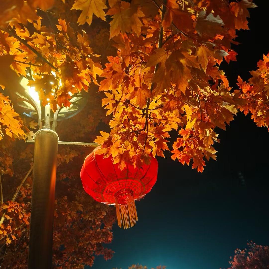 忆优品年货对联
