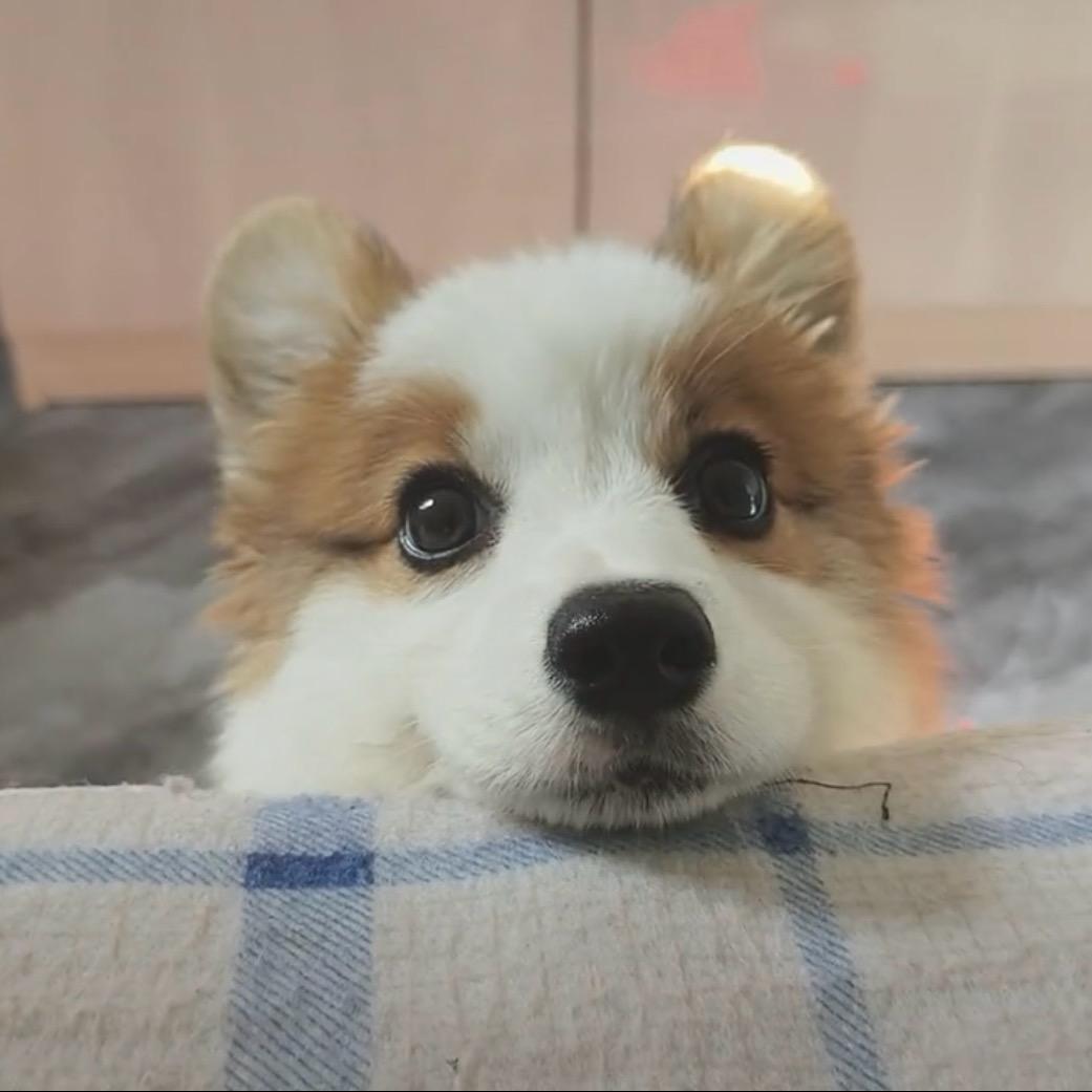 Kuku丶