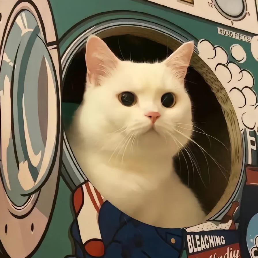 猫咪一只