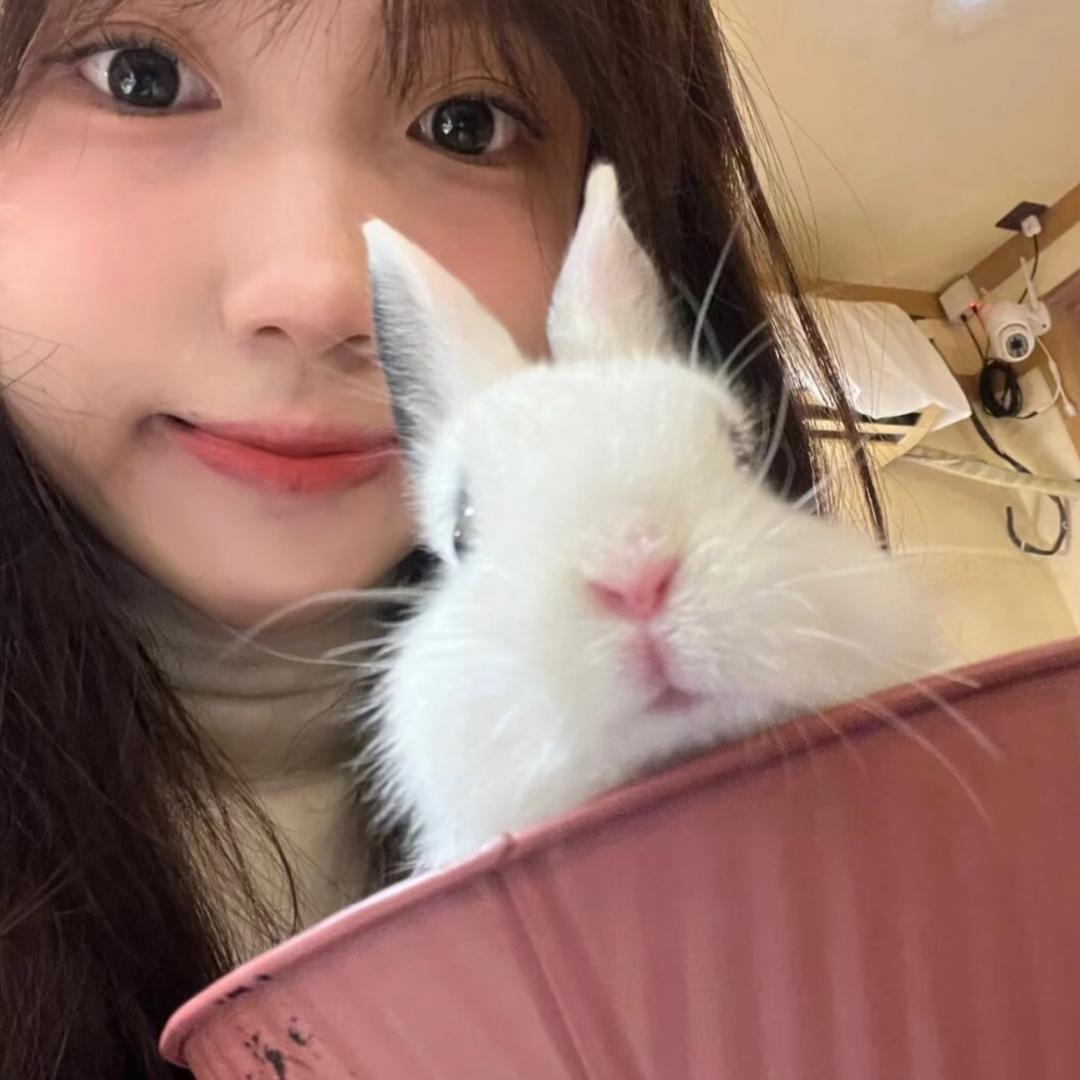 韩航杂货铺