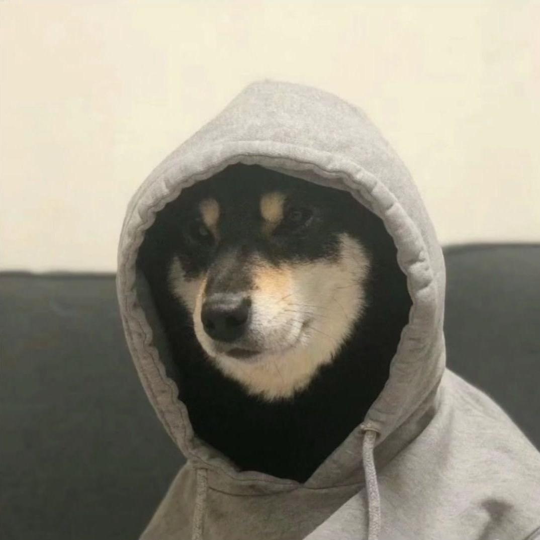 P头鱼