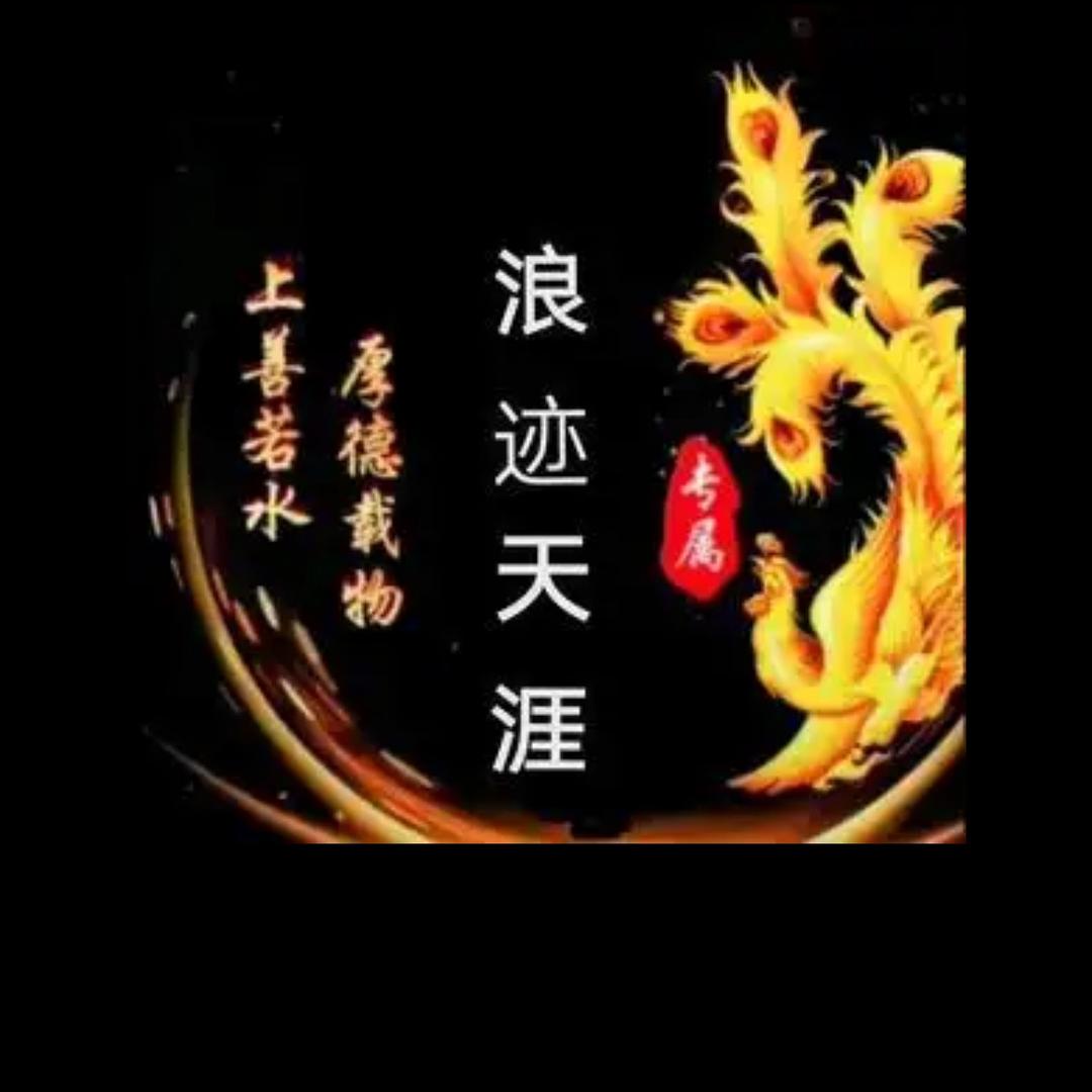 浪迹天涯
