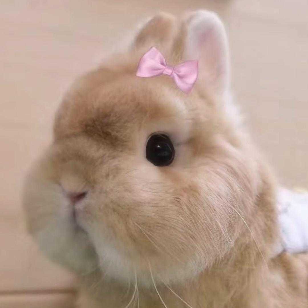小蟹巴
