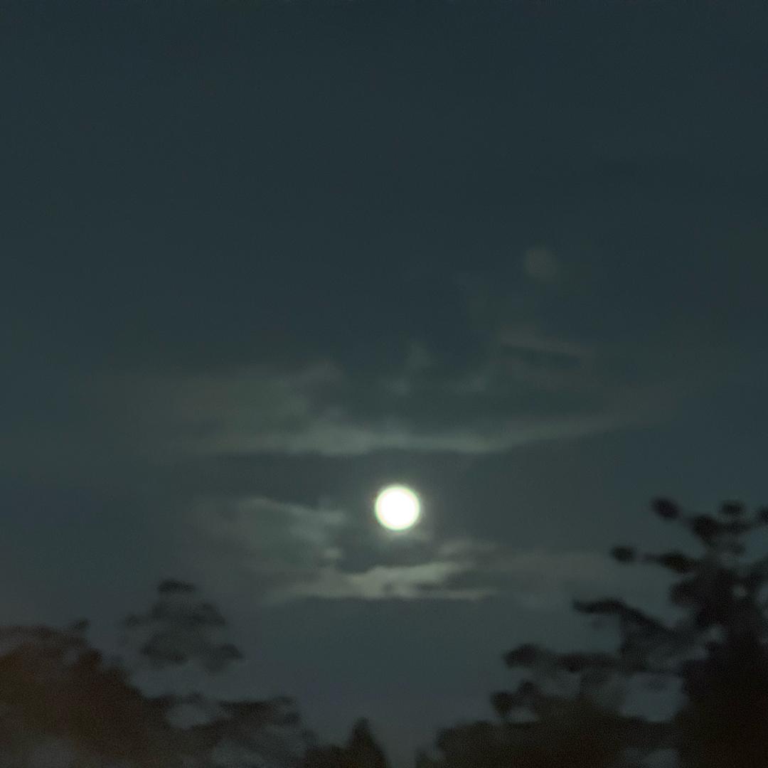 曹哈哈