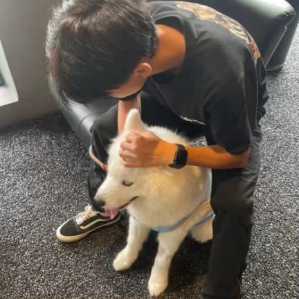 葡萄干哥的黑头🍬