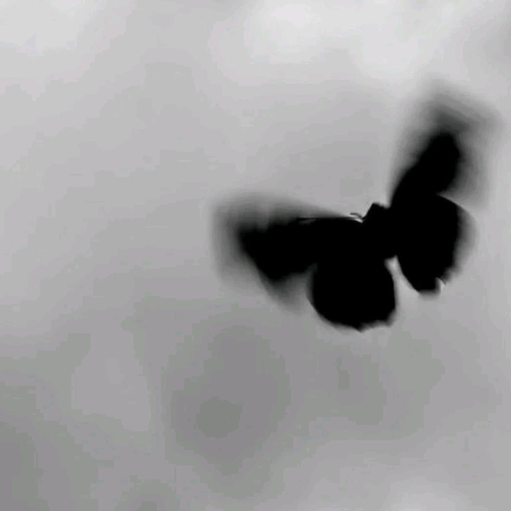 Js_7