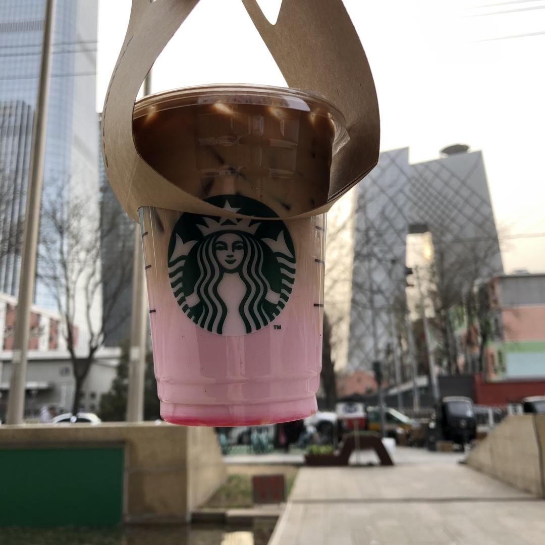 一只肥仔🐷