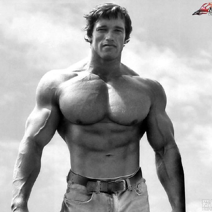 躺平了不用扶我起来