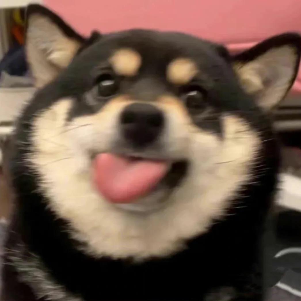 好好吃饭哟