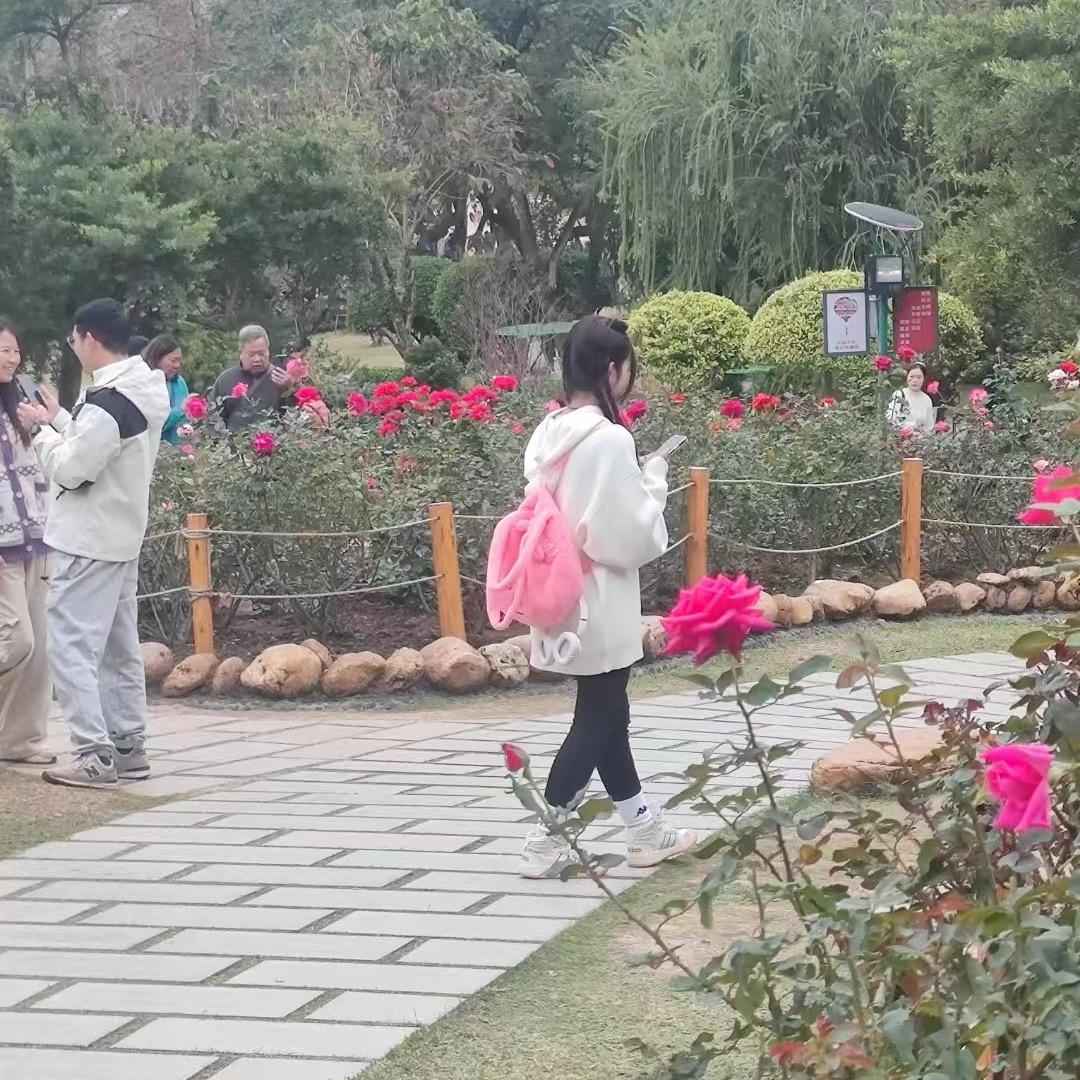 一生无悔