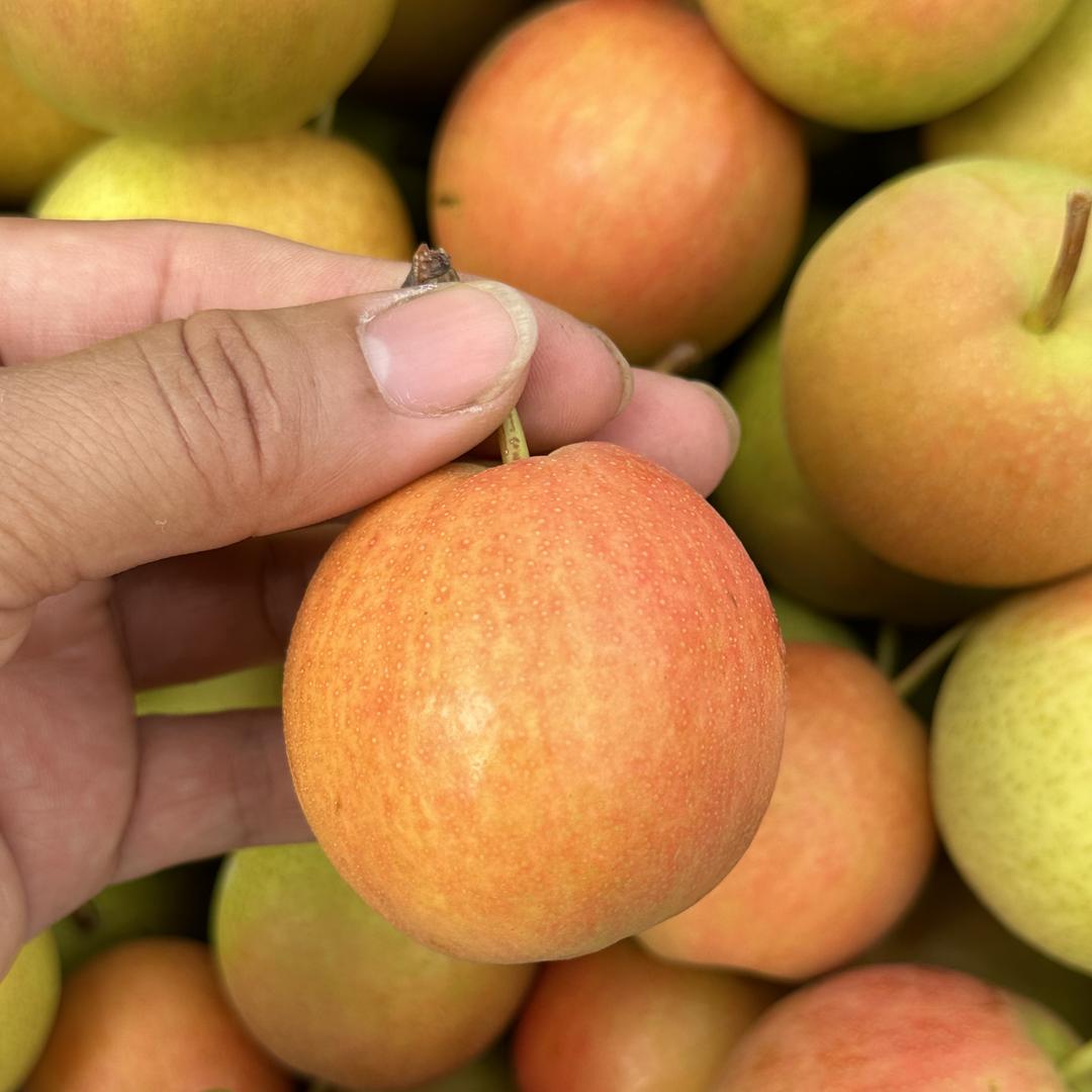 孟梨仙果家庭农场