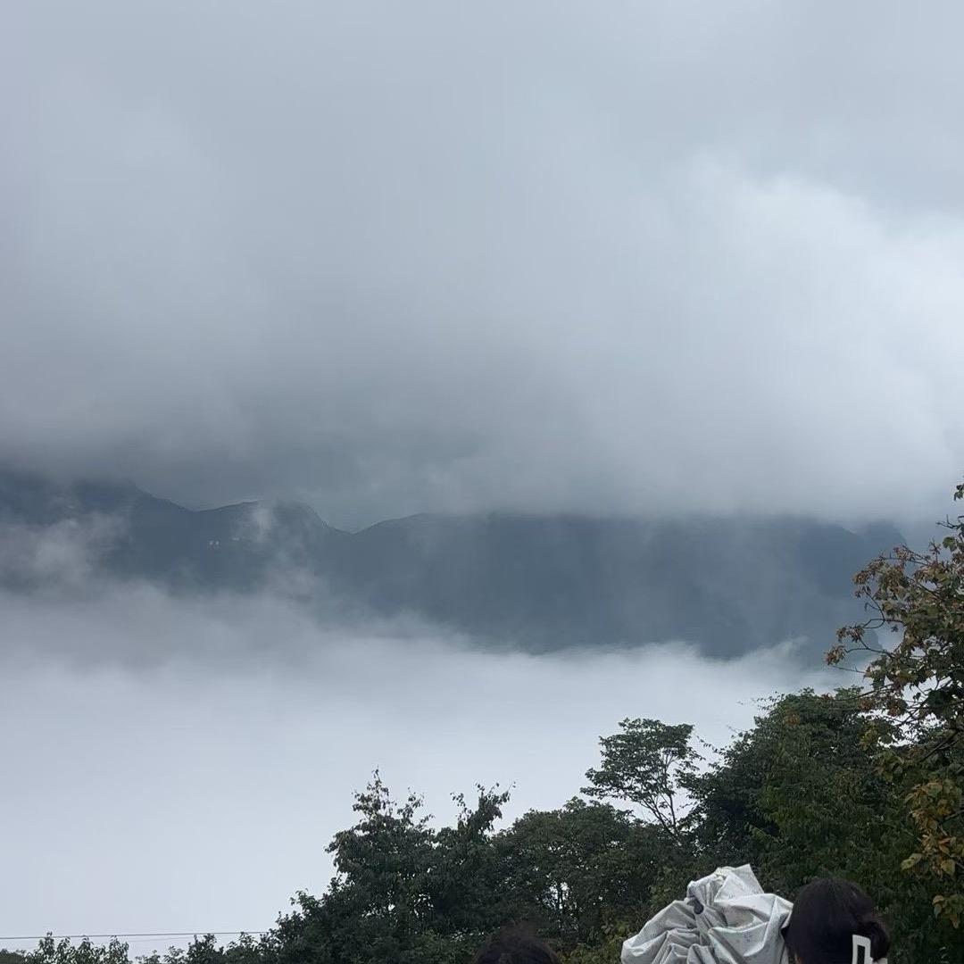 有你真好