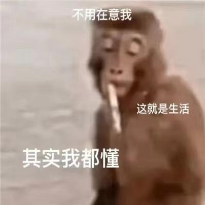 AQ
