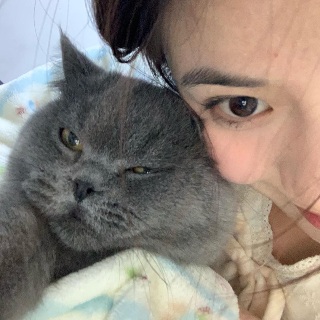 毛豆.