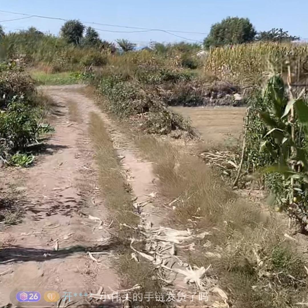🌹🌹富贵吉祥🍑🍑