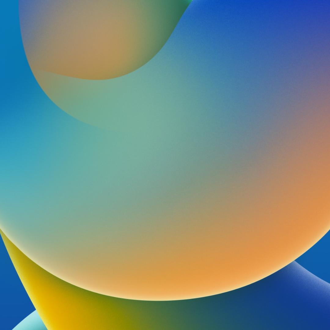 xiaomeng8578