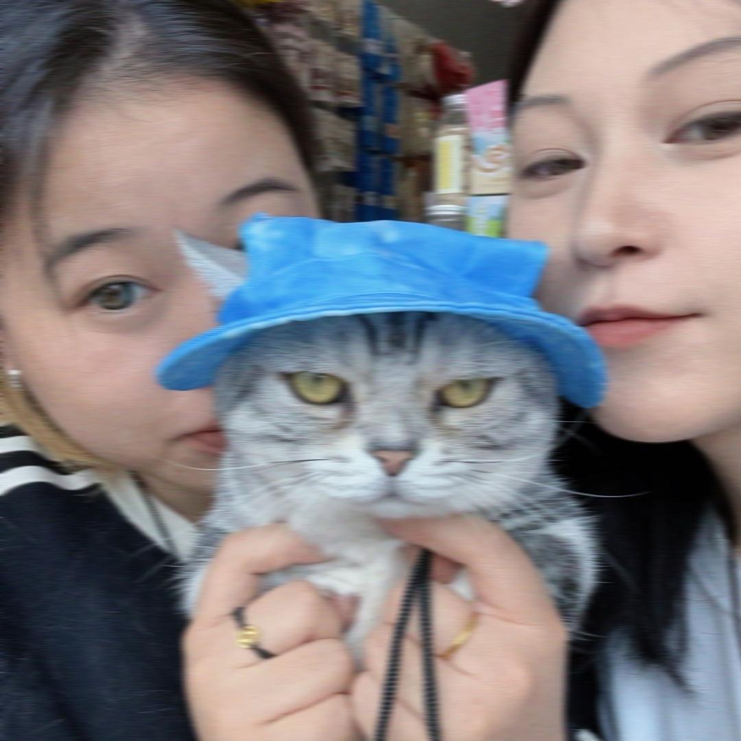 喜猫喜狗宠物生活馆