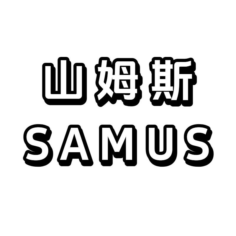 山姆斯工厂逆变器