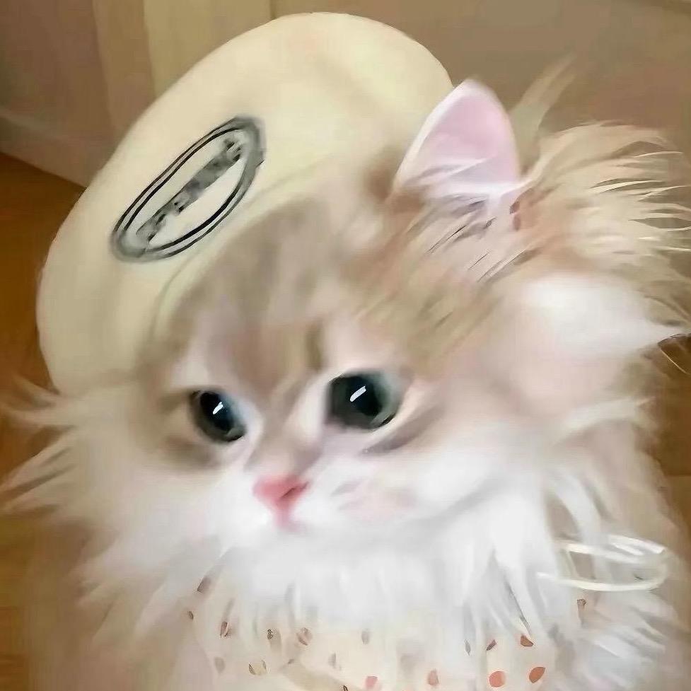 你Q什么Q
