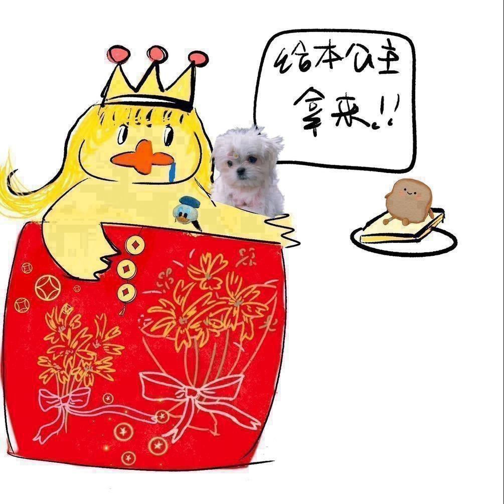 不许偷吃懒公主的面包片儿