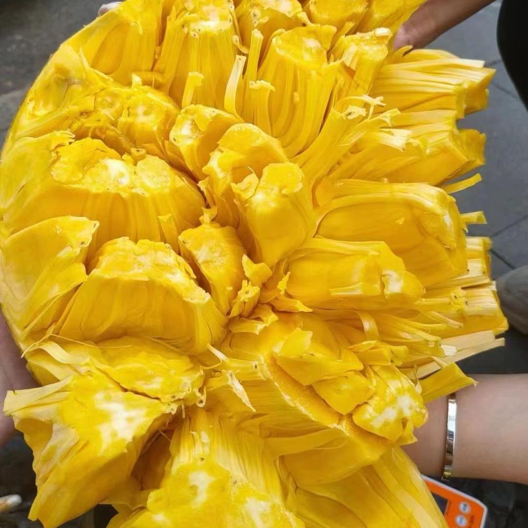 海南椰果源水果云仓菠萝蜜