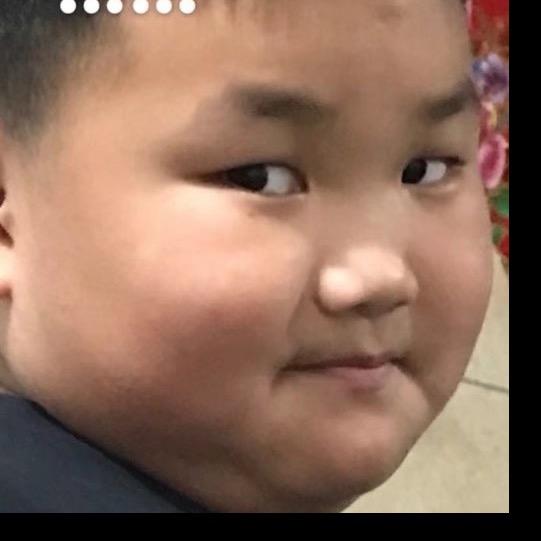 双双胖不胖
