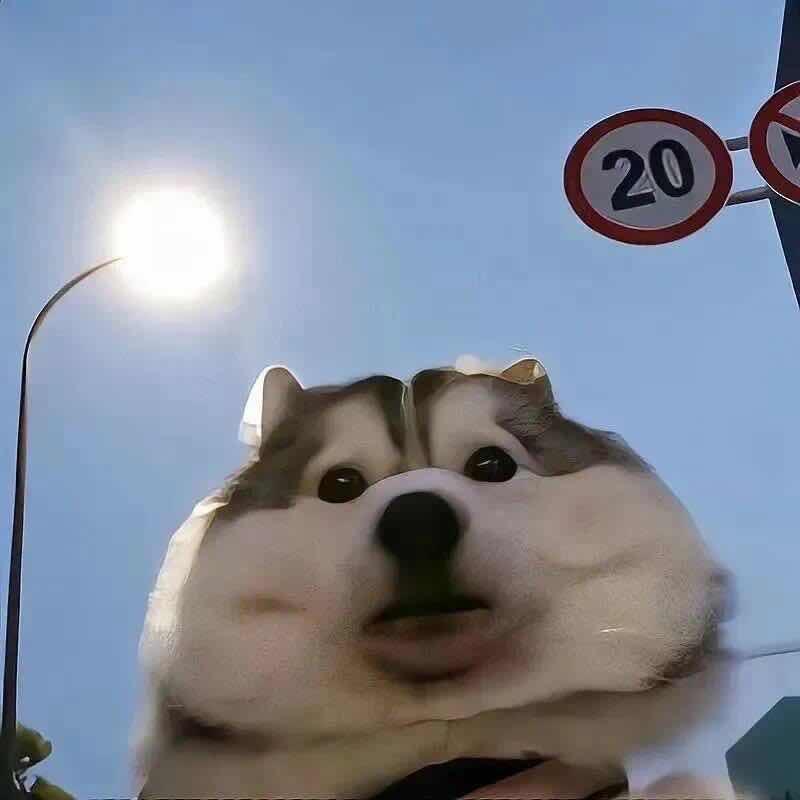 你的名字。