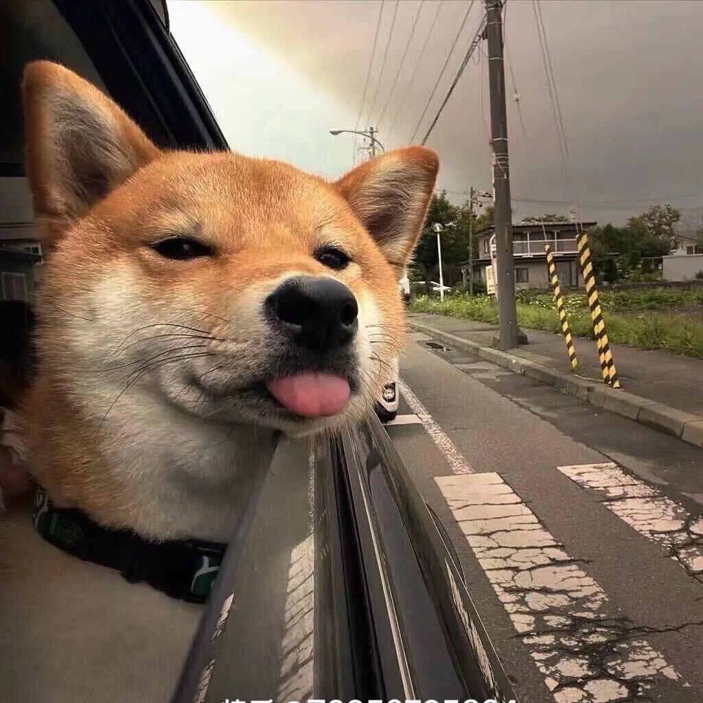*        *