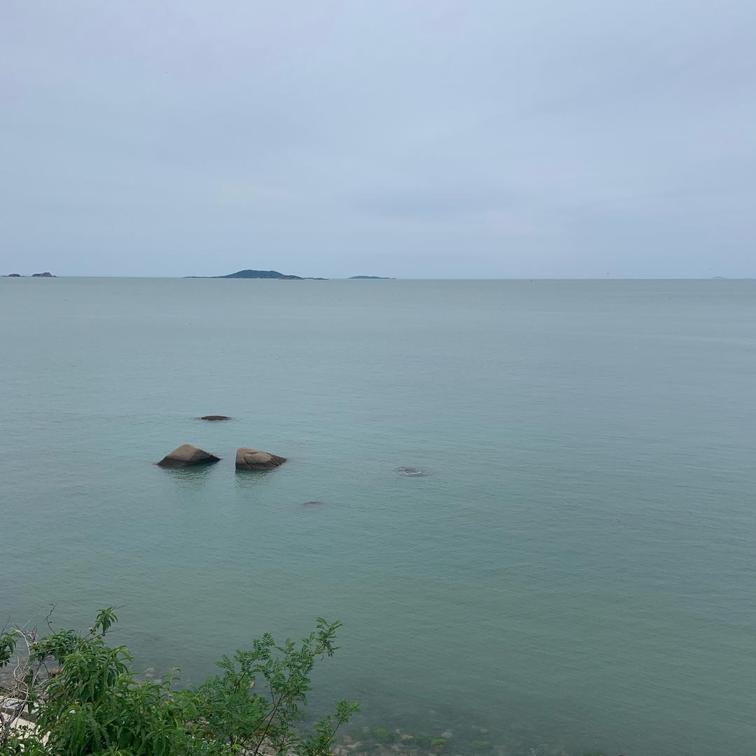 很会装（定制）的小张