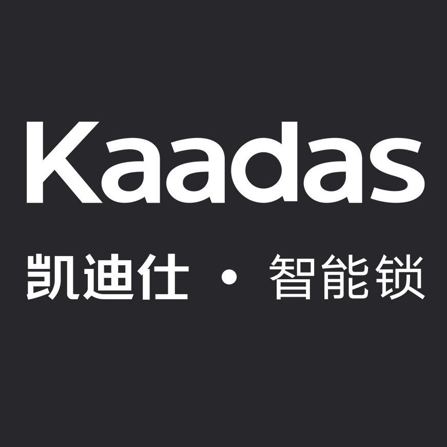 凯迪仕（九江华东店）