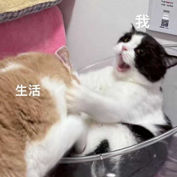 静yiyi