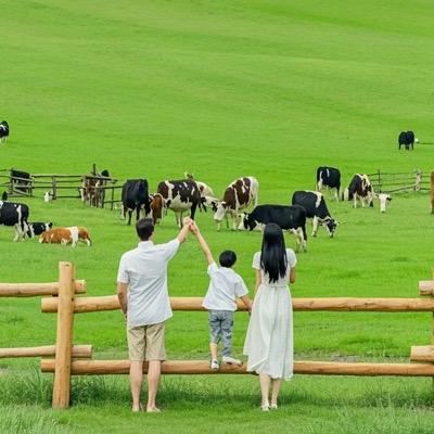 大猫带你去旅行