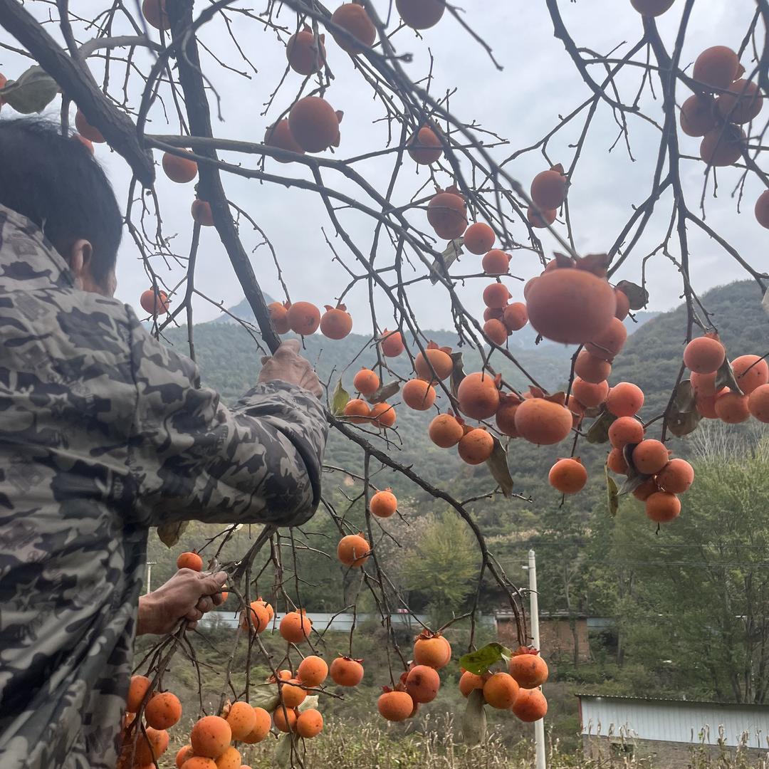 山西山里人家农副商行