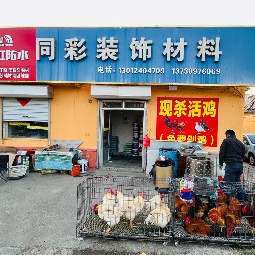 同彩装饰材料（现杀活鸡）