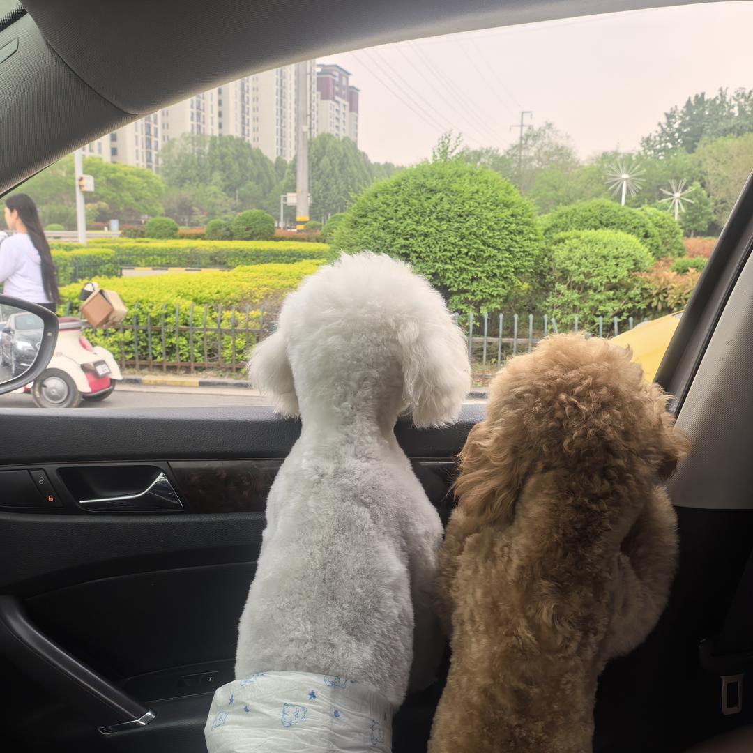 华诚电子科技有限公司