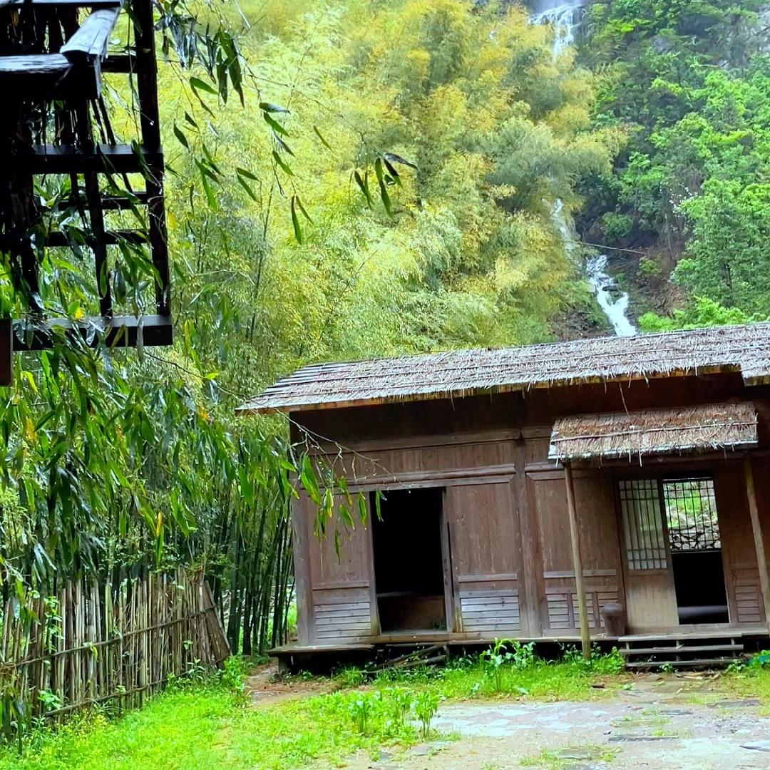 虎娃子山货