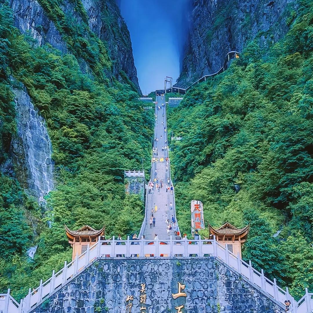 同嘉百货