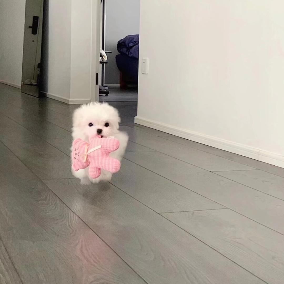 晚安.