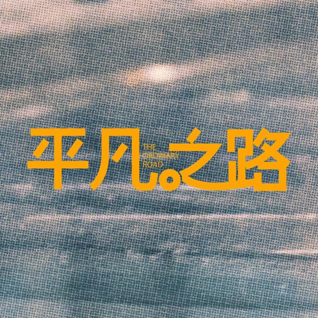 电视剧平凡之路