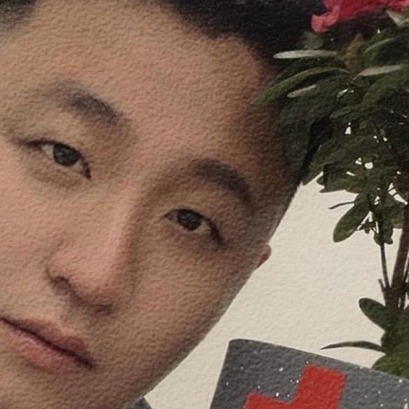 朴树