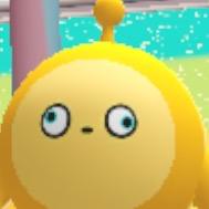 虎皮