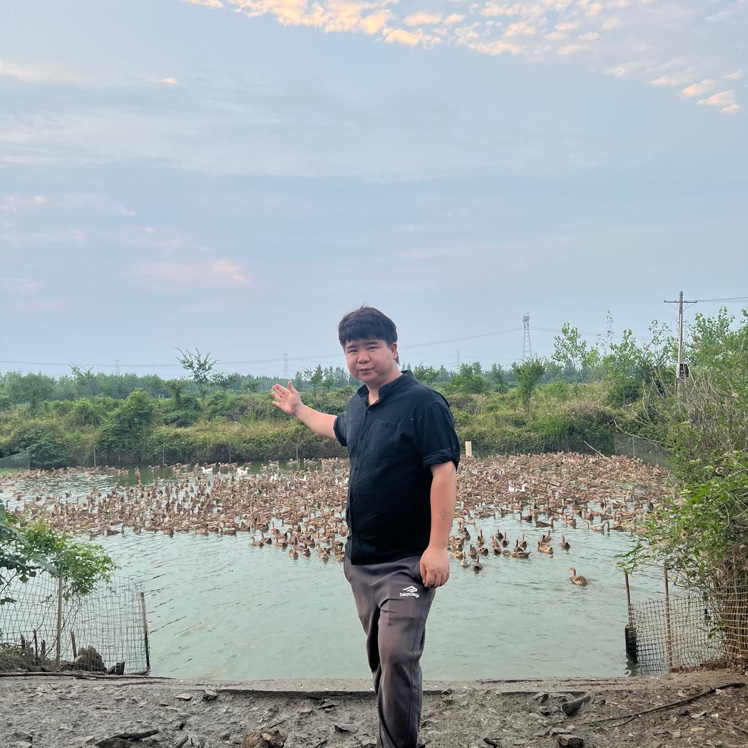 张大哥家土鸡土鸭