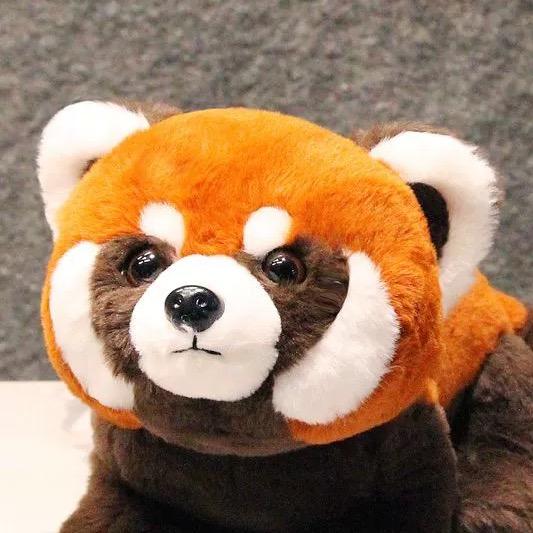多大人