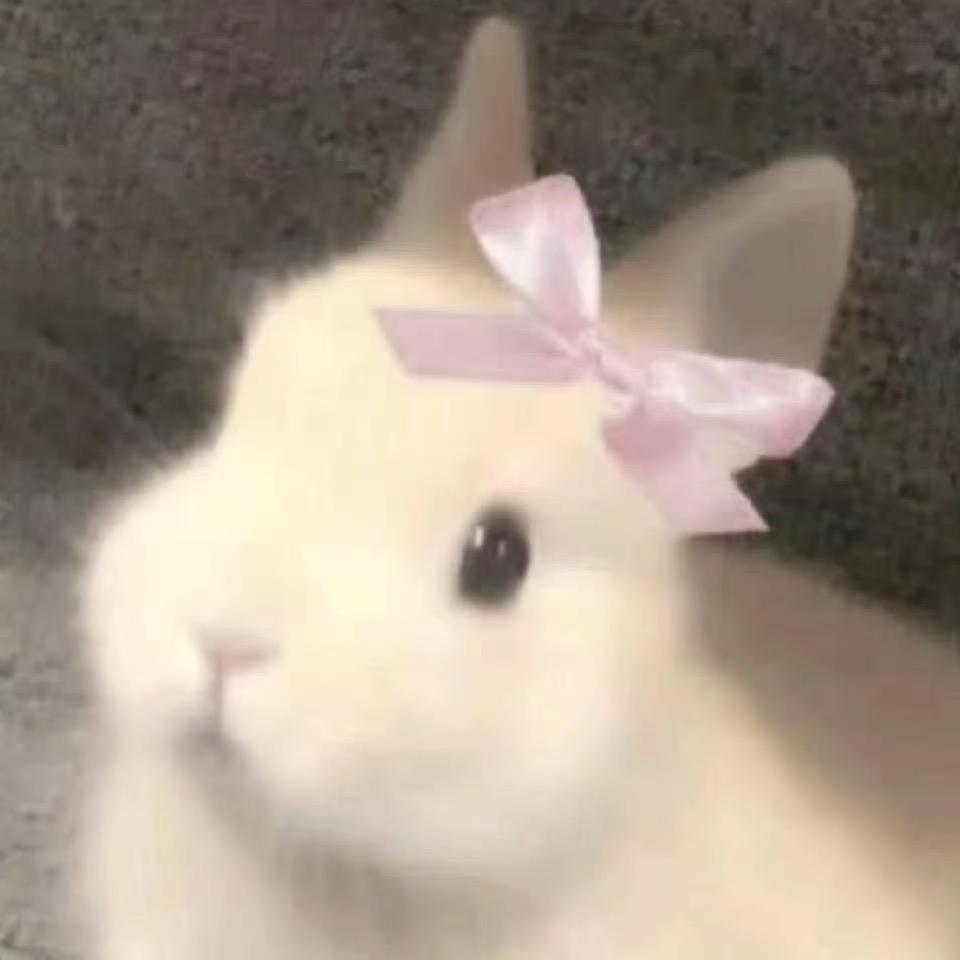 很多珍珠需要我