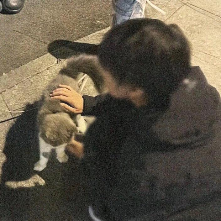 忘羡.