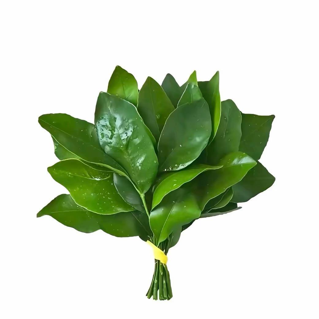 臭屁