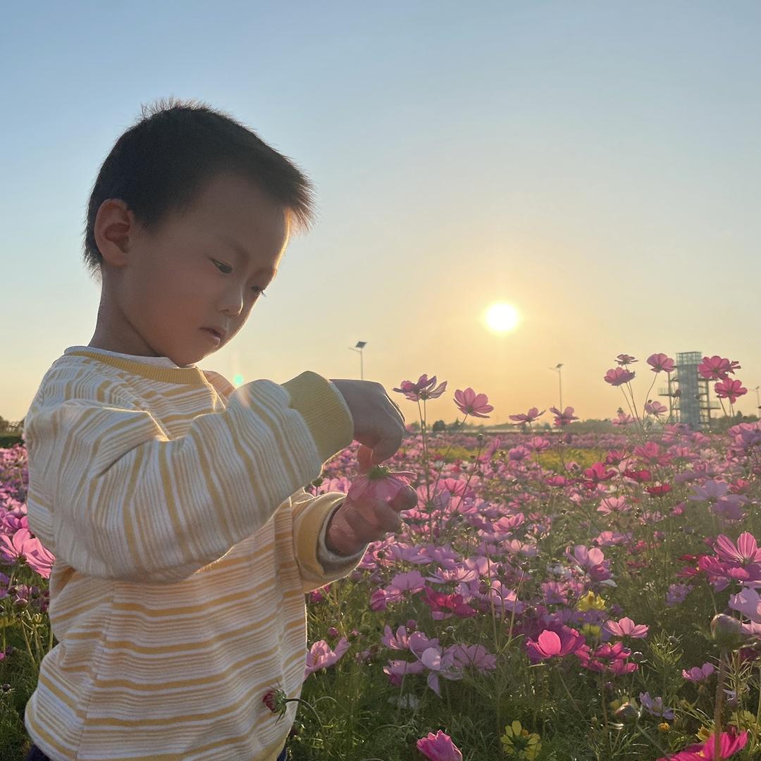 ❀陈❀天不睡觉༺࿈༻